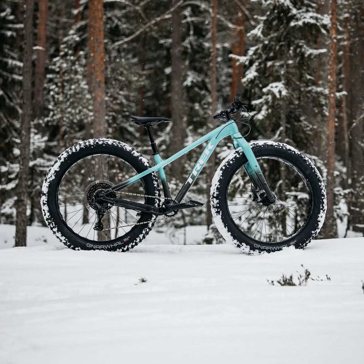 Trek Farley fatbike talvimaisemassa neliö