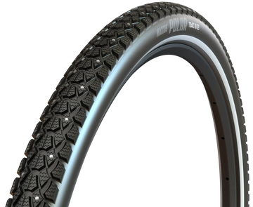 Maxxis Polar