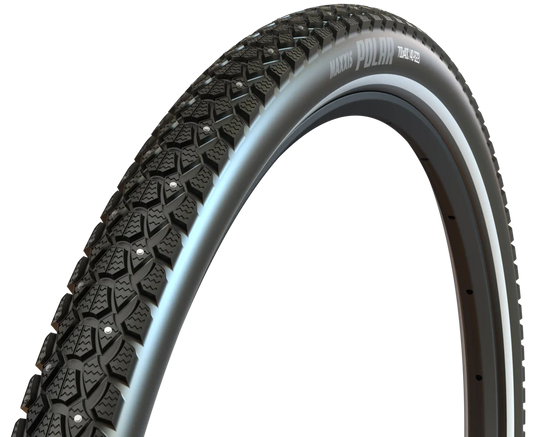 Maxxis Polar