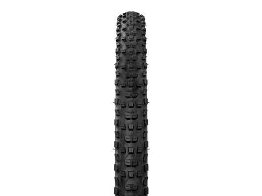 Bontrager Gunnison RSL XT TLR MTB Tire
