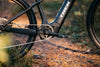 Trek Powerfly+ 4 Gen 5