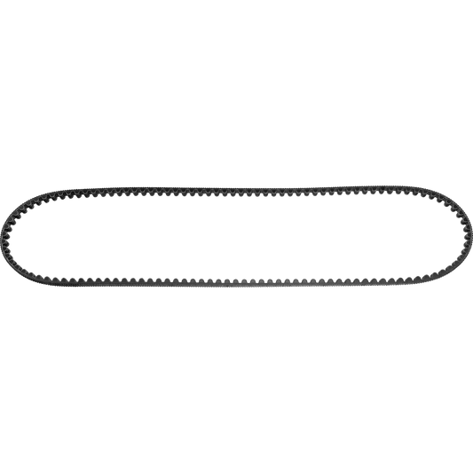 Specialized Como Gates Carbon Belt 122T